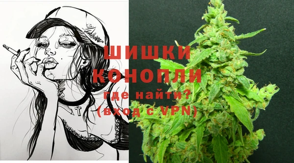 прущие грибы Кинешма