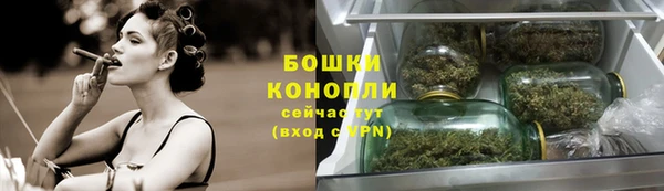 прущие грибы Кинешма