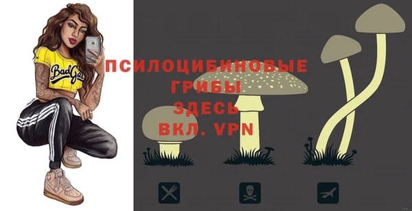 apvp Киренск