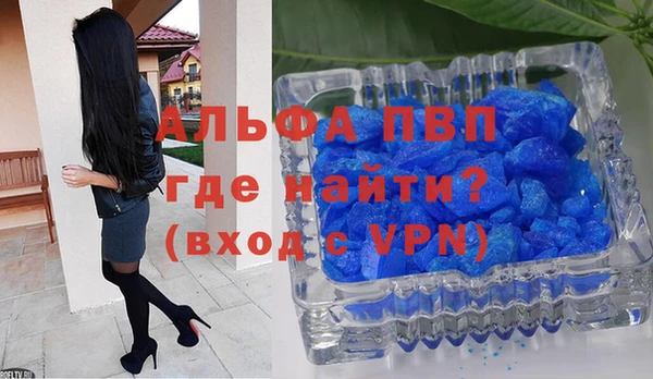 прущие грибы Кинешма