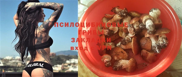 прущие грибы Кинешма