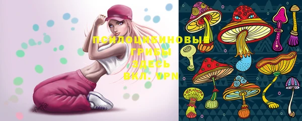 прущие грибы Кинешма