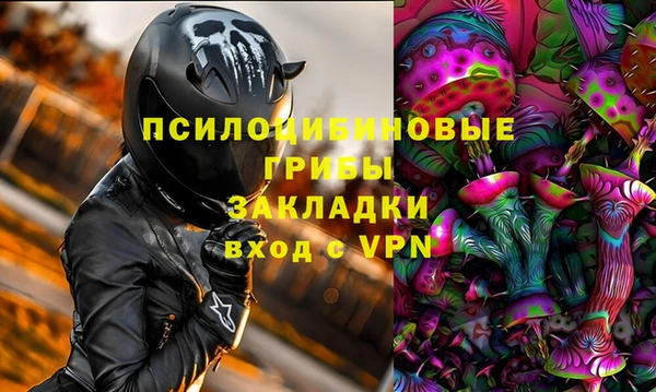 прущие грибы Кинешма