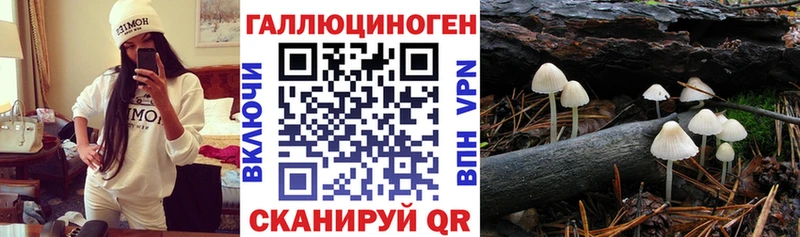 Купить  Ростов  Галлюциногенные грибы MAGIC MUSHROOMS 